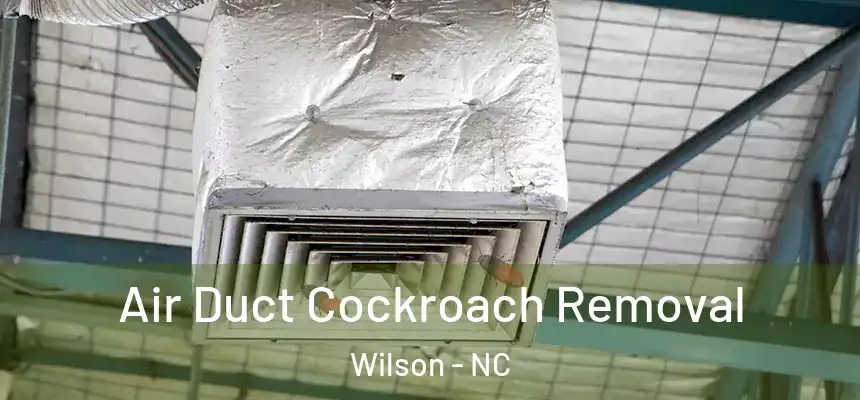 Air Duct Cockroach Removal Wilson - NC