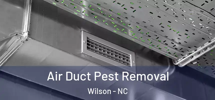  Air Duct Pest Removal Wilson - NC