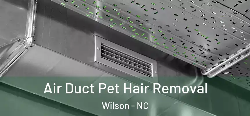 Air Duct Pet Hair Removal Wilson - NC