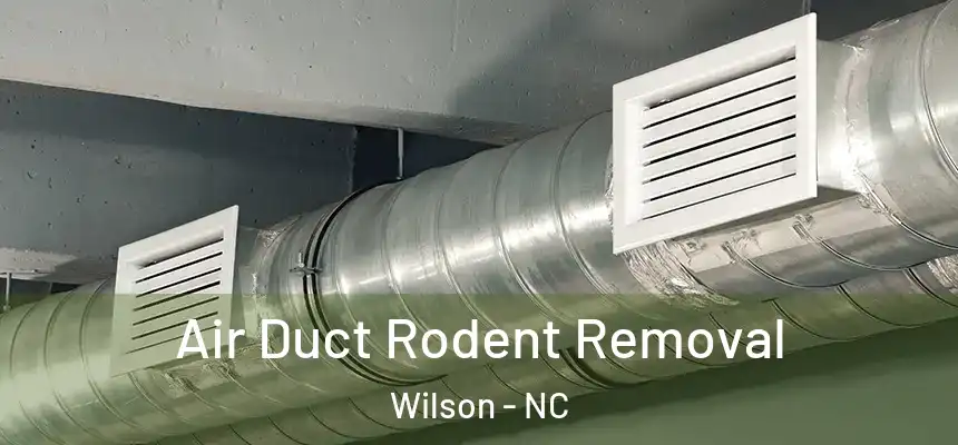 Air Duct Rodent Removal Wilson - NC
