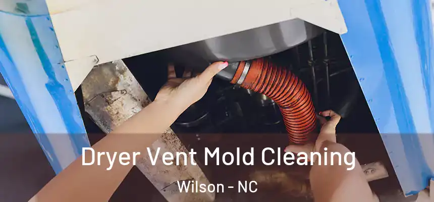  Dryer Vent Mold Cleaning Wilson - NC