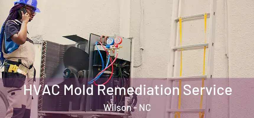  HVAC Mold Remediation Service Wilson - NC