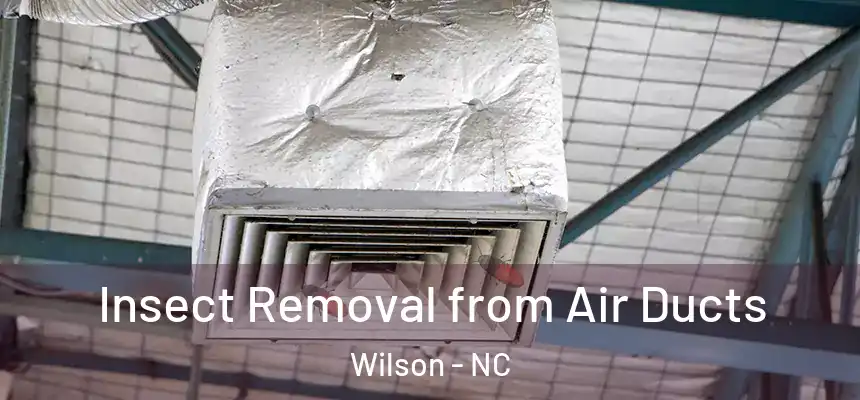 Insect Removal from Air Ducts Wilson - NC