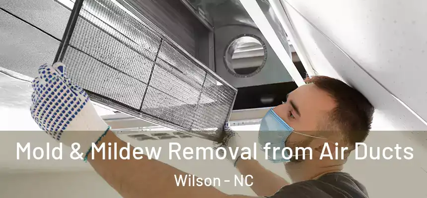  Mold & Mildew Removal from Air Ducts Wilson - NC