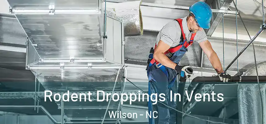 Rodent Droppings In Vents Wilson - NC