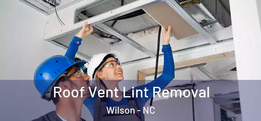 Roof Vent Lint Removal Wilson - NC