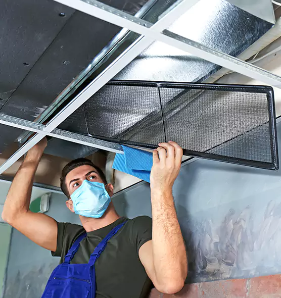 About Air Duct Bacteria Removal in Wilson
