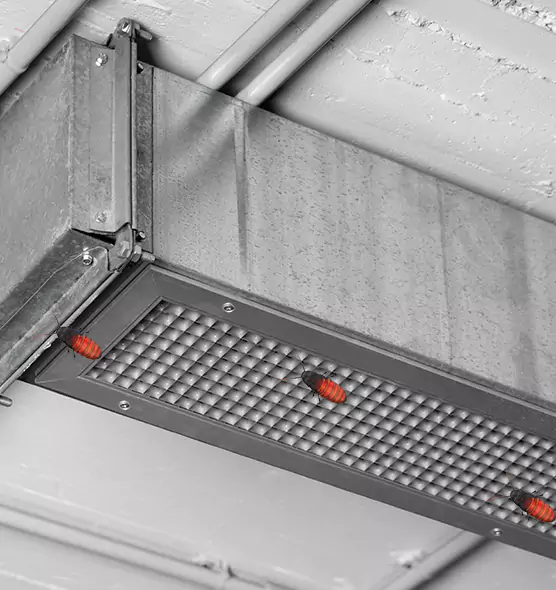 About Air Duct Cockroach Removal in Wilson, NC