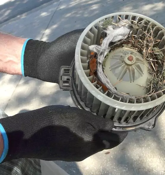 About Air Duct Rat Removal in Wilson, NC