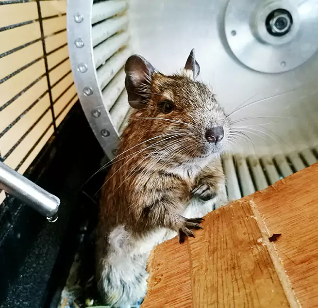 Why Homeowners & Businesses Trust Us Wilson, NC