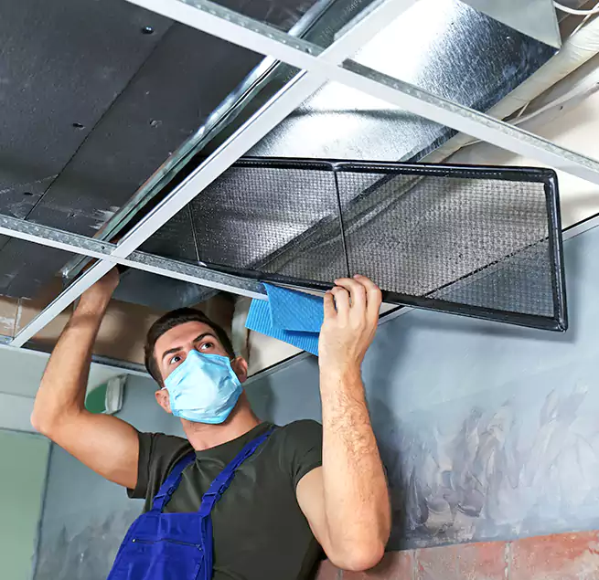 Why Homeowners Businesses Trust Us in Wilson, NC