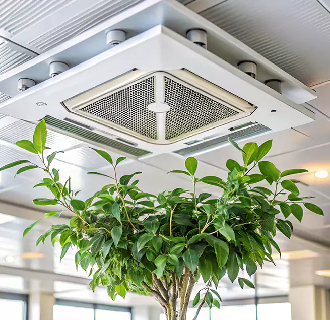 Why Homeowners & Businesses Trust Us in Wilson, NC?