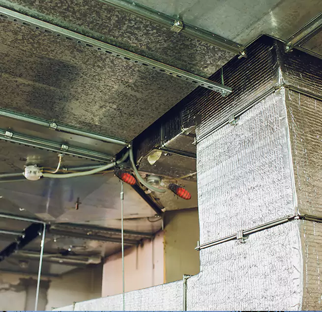 Why Homeowners & Businesses Trust Us Wilson, NC?