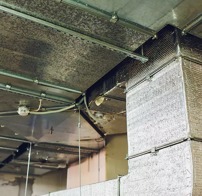 Why Homeowners & Businesses Trust Us in Wilson, NC?