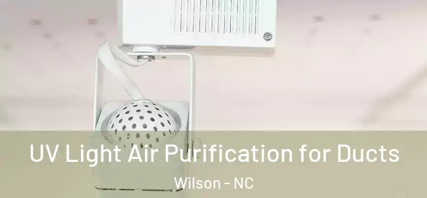  UV Light Air Purification for Ducts Wilson - NC